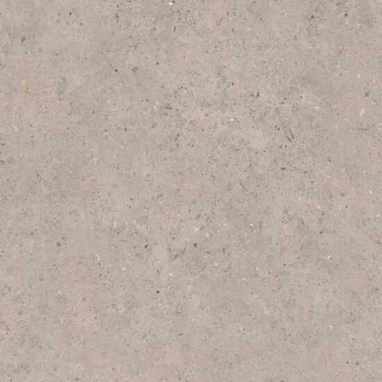 Biophilic grey 60x60 8